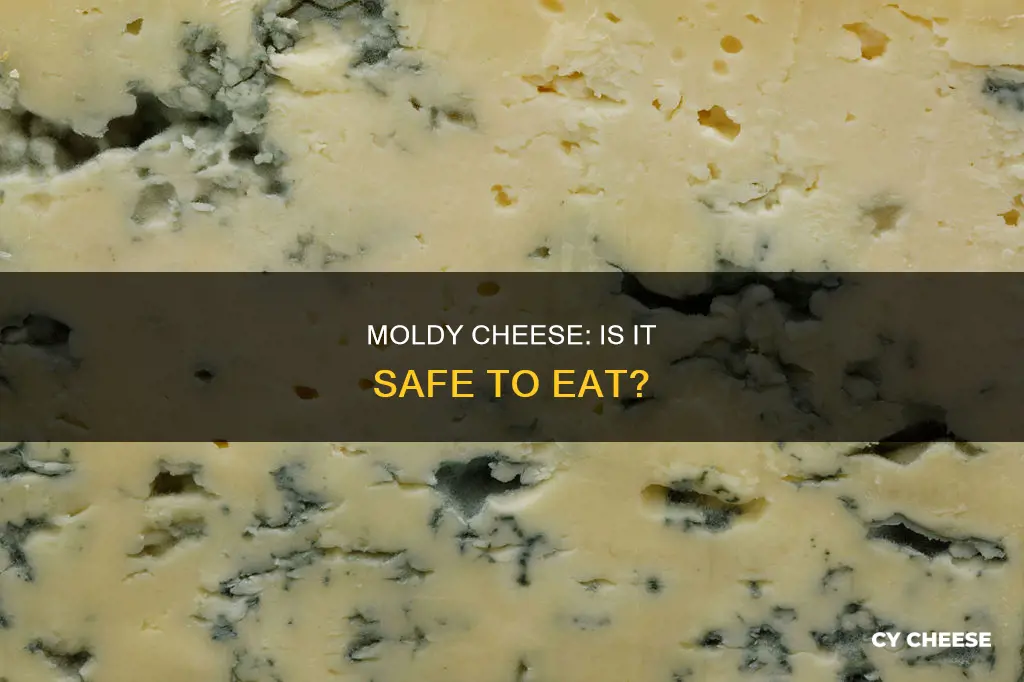is moldy cheese bad