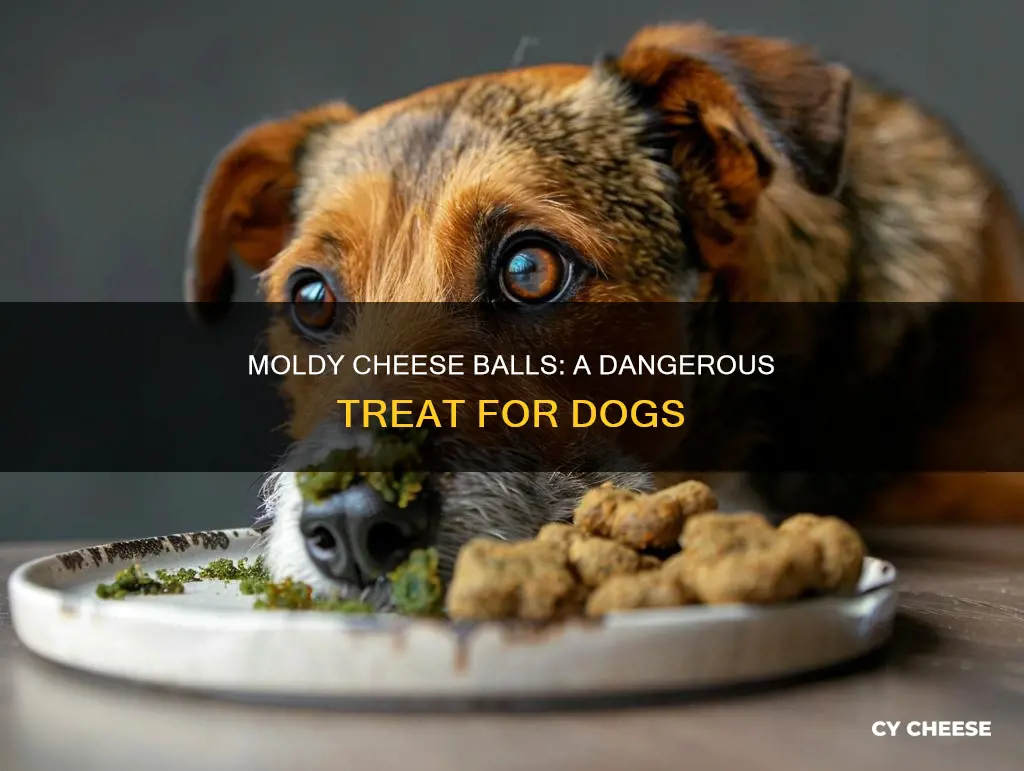 is moldy cheese balls bad for dogs