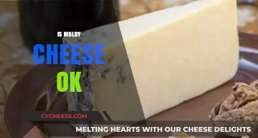 Is Moldy Cheese Safe to Eat? Risks and Facts Explained