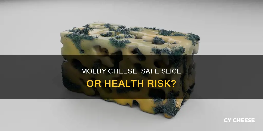 is moldy cheese slice bad