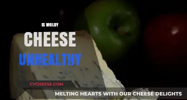 Is Moldy Cheese Safe to Eat? Health Risks Explained