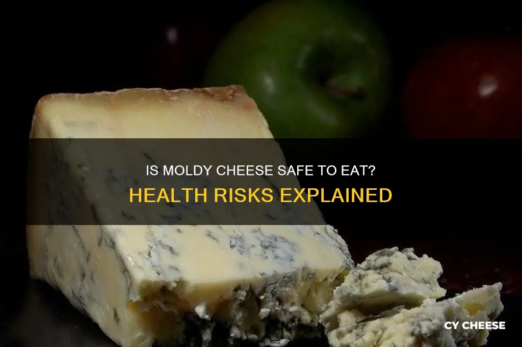 is moldy cheese unhealthy