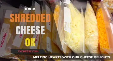 Is Moldy Shredded Cheese Safe to Eat? Expert Advice