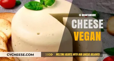 Is Montamore Cheese Vegan? Unraveling the Dairy-Free Dilemma