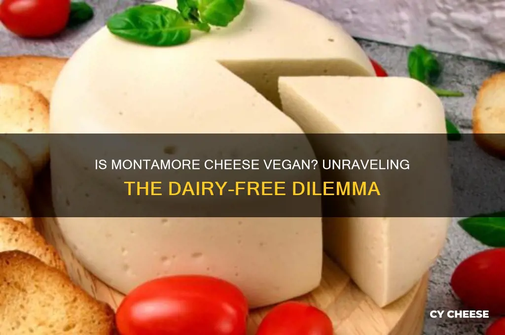 is montamore cheese vegan