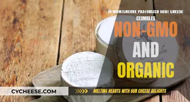 Montchevre's Goat Cheese: Pasturized, Non-GMO, and Organic Delicacy