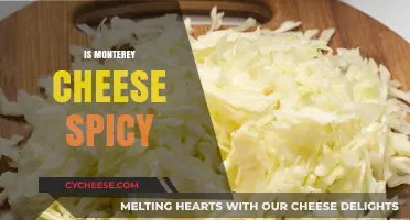 Is Monterey Cheese Spicy? Unraveling the Flavor Mystery of This Classic Cheese
