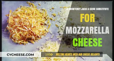 Monterey Jack vs. Mozzarella: A Cheese Substitute Showdown