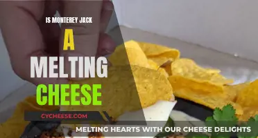 Monterey Jack: Melting Cheese or Not?