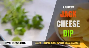 Is Monterey Jack Cheese Dip the Ultimate Snack? Find Out!