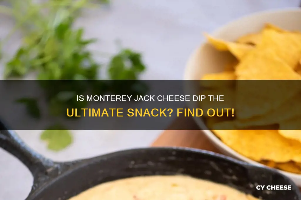is monterey jack cheese dip