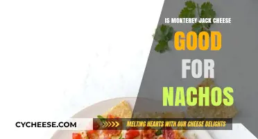 Is Monterey Jack Cheese the Perfect Choice for Nachos?