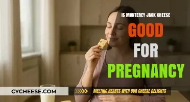 Monterey Jack Cheese During Pregnancy: Safe, Nutritious, or Risky?