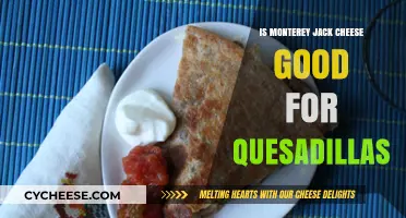 Monterey Jack Cheese: The Perfect Quesadilla Filling Choice?