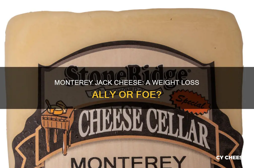 is monterey jack cheese good for weight loss