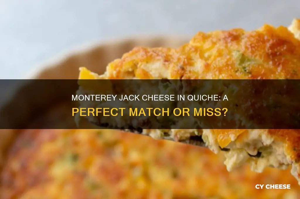 is monterey jack cheese good in quiche
