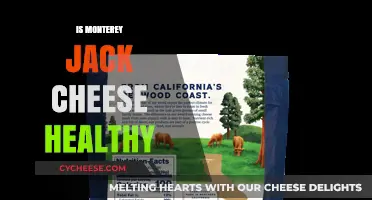 Jack Cheese: Healthy or Not?