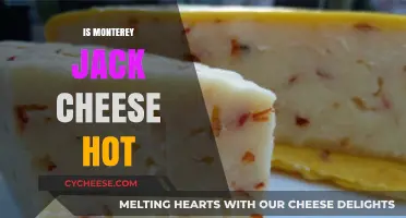 Is Monterey Jack Cheese Hot? Exploring Its Flavor and Spice Profile
