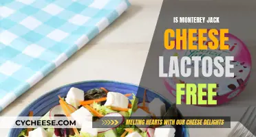 Monterey Jack Cheese: Lactose-Free Superfood?