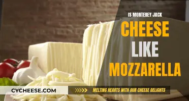 Monterey Jack and Mozzarella: Similar Cheeses, Different Taste