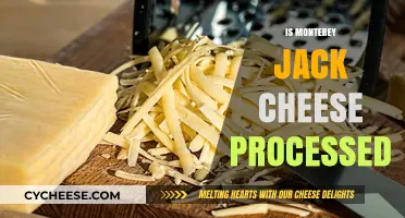 Is Monterey Jack Cheese Processed? Uncovering the Truth Behind the Label