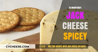 Is Monterey Jack Cheese Spicy? Unraveling the Flavor Profile