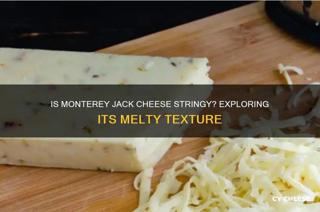 is monterey jack cheese stringy
