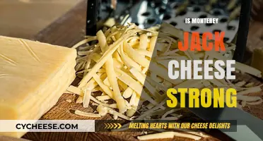Is Monterey Jack Cheese Strong? Exploring Its Flavor and Intensity