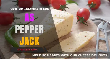 Monterey Jack vs. Pepper Jack: Unraveling the Cheesy Differences