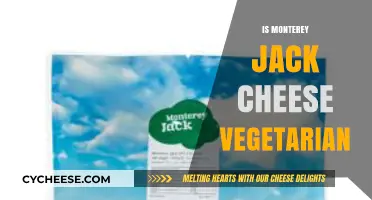 Is Monterey Jack Cheese Vegetarian? A Complete Guide for Vegans