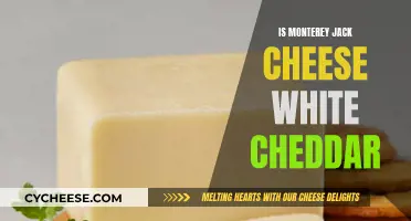 Monterey Jack vs. White Cheddar: Unveiling the Cheesy Truth