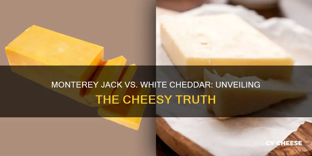 is monterey jack cheese white cheddar