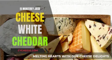 Monterey Jack Cheese: White Cheddar's Cousin?