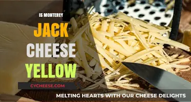 Is Monterey Jack Cheese Yellow? Uncovering the Truth Behind Its Color