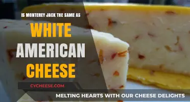 Monterey Jack vs. White American Cheese: Unraveling the Differences