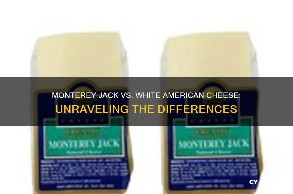 is monterey jack the same as white american cheese