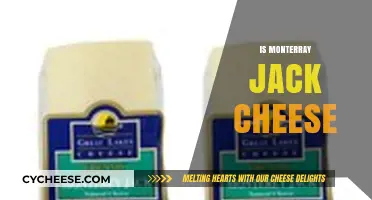 Is Monterey Jack Cheese Right for Your Recipe? A Guide