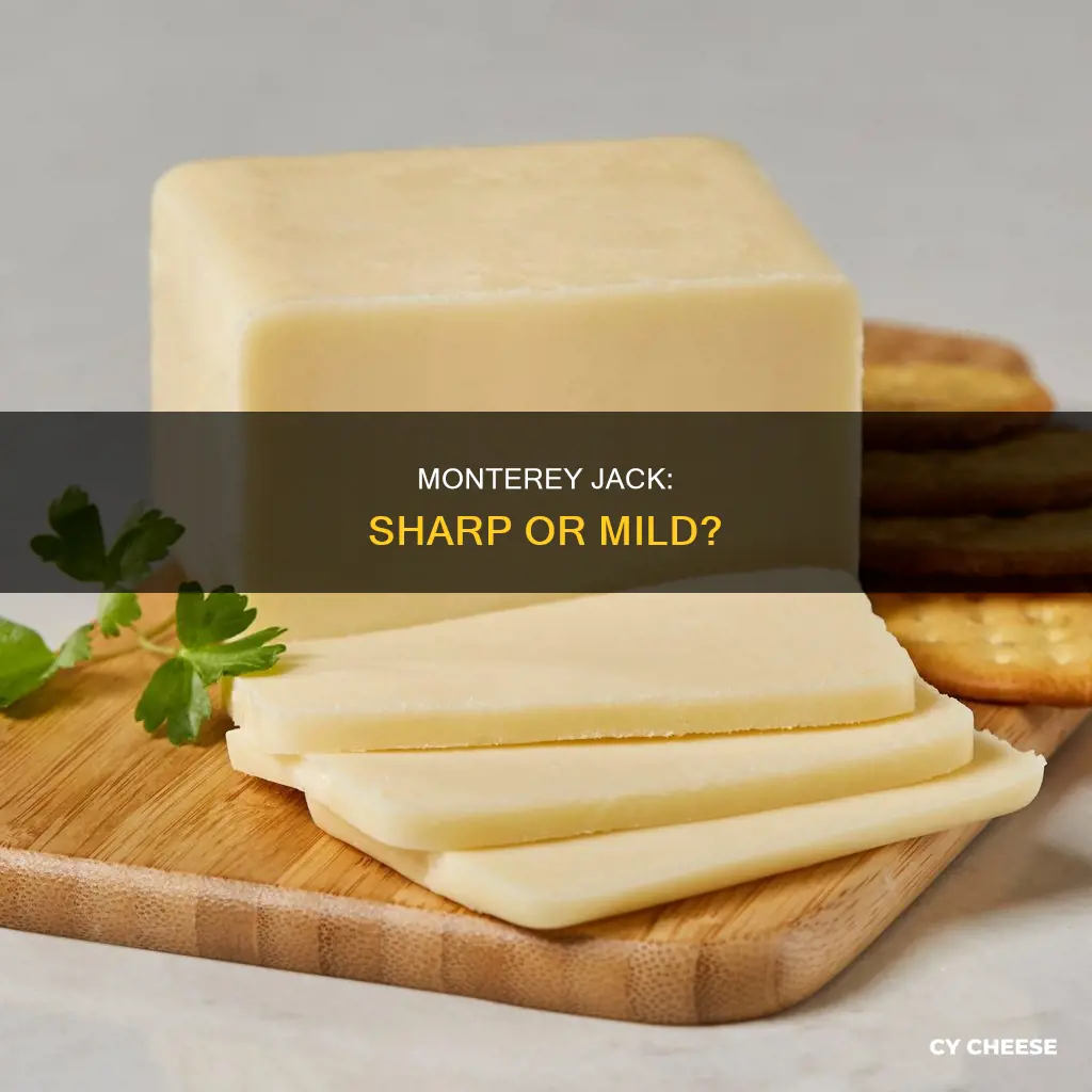 is montery jack like sharp cheese