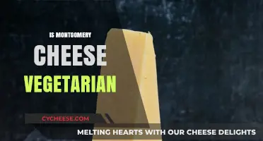 Is Montgomery Cheese Vegetarian? Exploring Ingredients and Production Methods