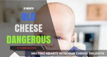 Is Month-Old Cheese Safe? Risks and Myths Explained