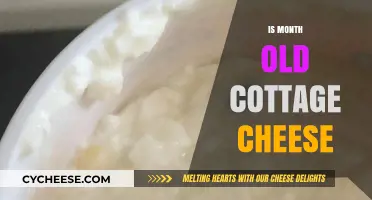 Is Month-Old Cottage Cheese Safe to Eat? A Guide