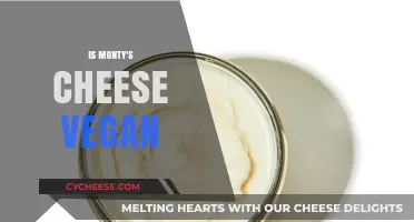 Is Monty's Cheese Vegan? Uncovering the Truth Behind the Label