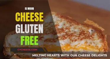 Moon Cheese: A Gluten-Free Snack Option