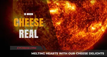 Is Moon Cheese Real? Unraveling the Myth Behind the Lunar Legend