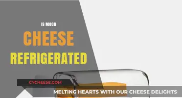 Should Moon Cheese Be Refrigerated? Storage Tips for Lunar Snacks