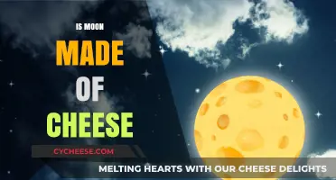 Moon's Mystery: Unveiling the Cheesy Truth