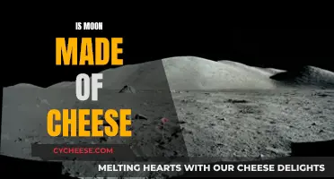 Moon Cheese Theory: Fact or Fiction?