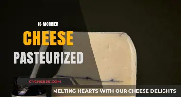 Is Morbier Cheese Pasteurized? Understanding Its Production and Safety