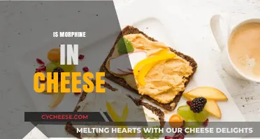 Morphine in Cheese: Fact or Fiction? Unraveling the Dairy Myth