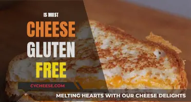 Gluten-Free Cheese: What You Need to Know